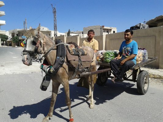 Horse carts to transport passengers and sell vegetables on the streets of Maarrat al-Nu'man. Photo by: Sonia al-Ali