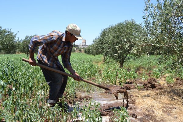 يساعد مشروع أرضك المزارعين على تحسين مستوى أدائهم تصوير حنان الطويل